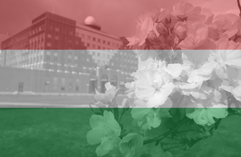 Hungarian language course